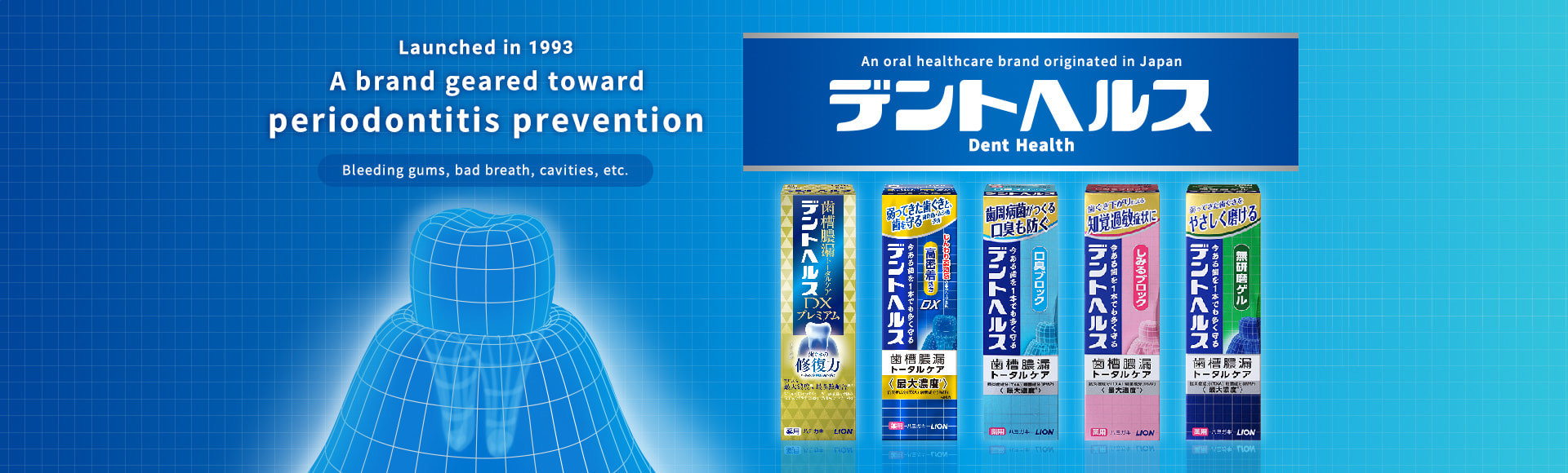 Launched in 1993 A brand geared toward periodontitis prevention Bleeding gums, bad breath, cavities, etc. An oral healthcare brand originated in Japan デントヘルス Dent Health
