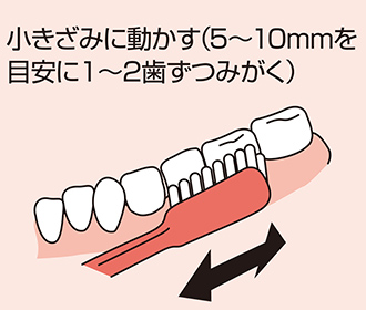 Move in small steps (Brush 1-2 teeth at a time of 5-10mm)