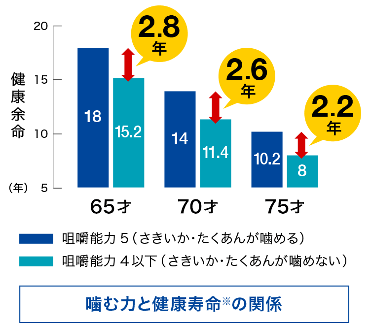 噛む力と健康寿命の関係。さきいか・たくあんを噛める65才は、それらを噛めない人に比べて健康寿命は2.8年の差が生まれる。噛む力がある人ほど健康でいられる期間が長い。